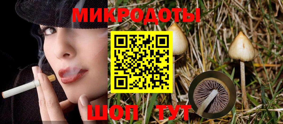 Псилоцибиновые грибы мицелий  наркота  Богородицк  Вход с VPN 