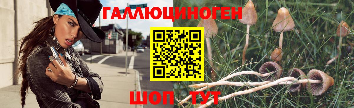 Галлюциногенные грибы мухоморы Богородицк